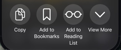 A row of share buttons: Copy, Add to Bookmarks, Add to Reading List and View More.